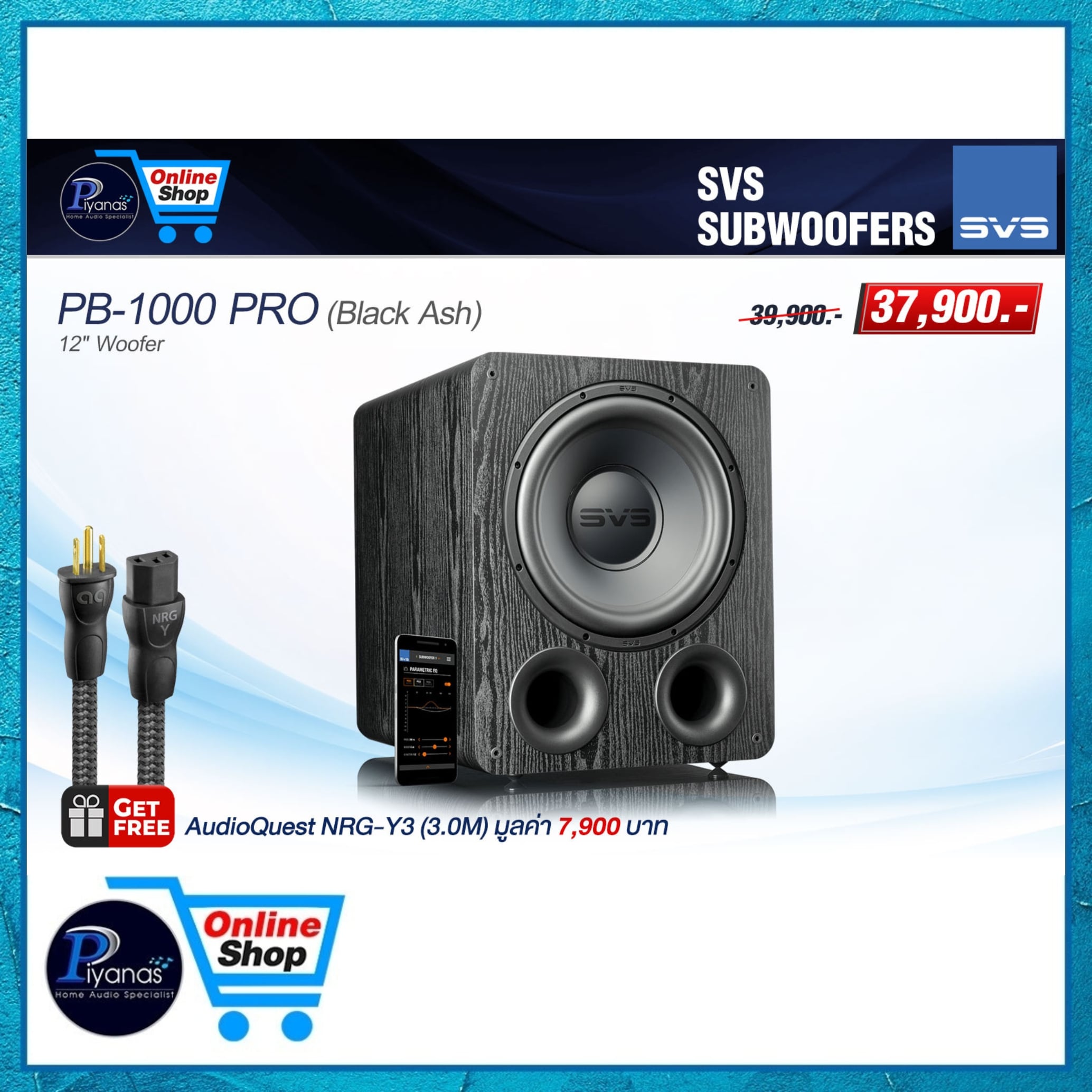 ซับวูฟเฟอร์ SVS : PB-1000 PRO (BLACK ASH)_5